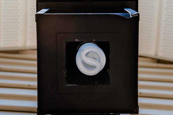 NetZero-LR-19