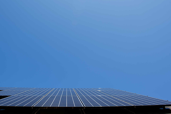 NetZero-LR-21