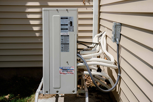 NetZero-LR-31
